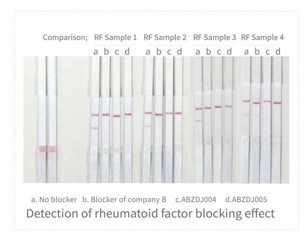 Detection of rheumatoid factor blocking effect