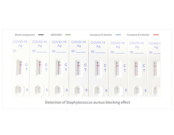 Detection of Staphylococcus aureus blocking effect