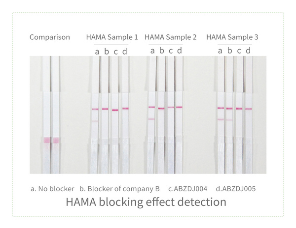 Detection of HAMA blocking effect